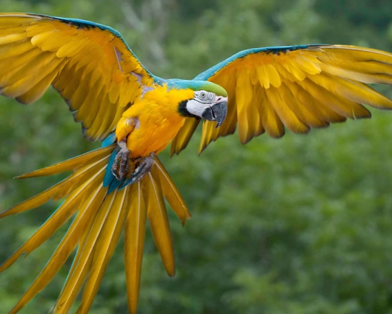 Toro Toro National Park Ruta Verde Tours