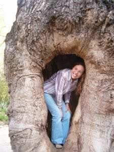 Inside the toborochi tree