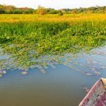 Chalalan ecolodge Madidi national park, Bolivia