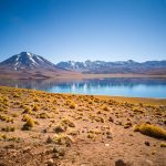 Miscanti lagoon near San Pedro de Atacama, Chile by David Vives