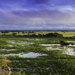 Pantanal Bolivia - Pantanal tour