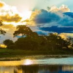 Pantanal