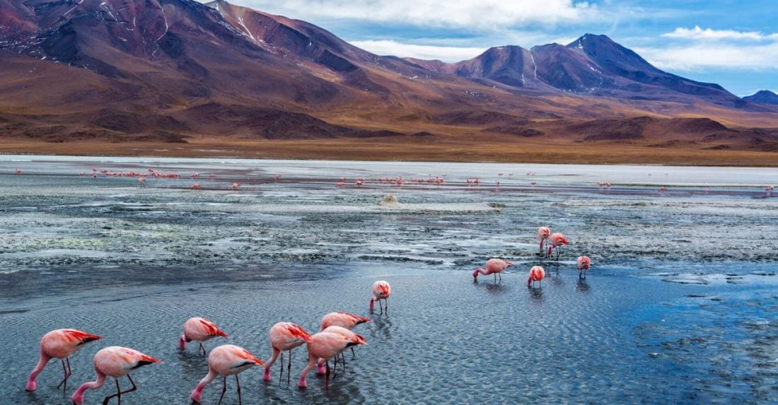 salt flats tour from san pedro de atacama to uyuni