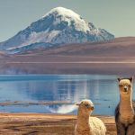 Sajama National Park